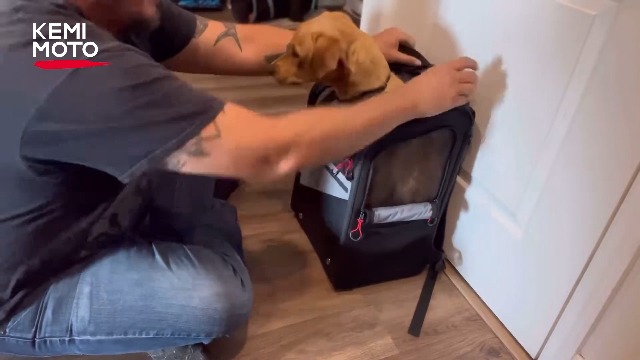 Amazon.com: KEMIMOTO Motorcycle Dog Carrier Backpack for Small Dog